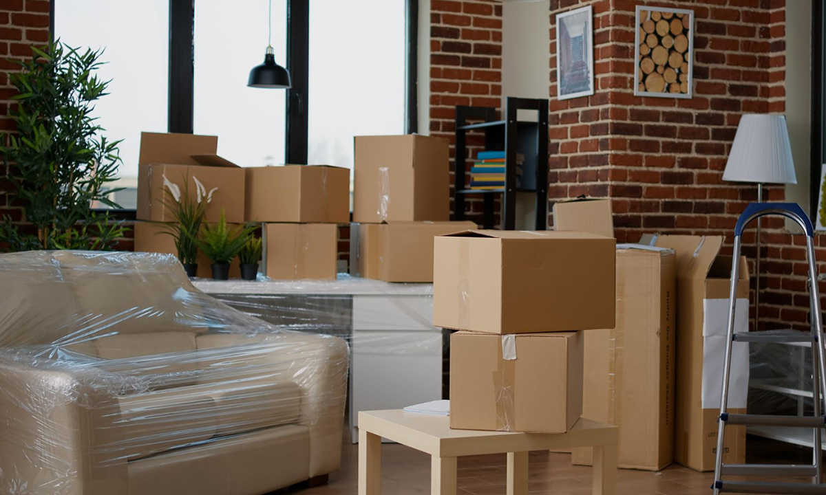 Professional Moving Equipment